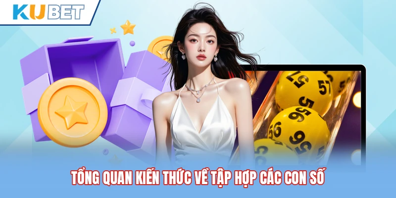 Tổng quan kiến thức về tập hợp các con số