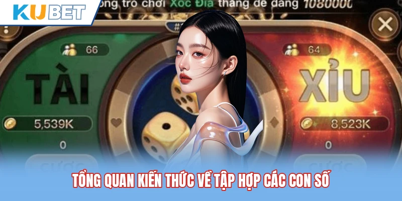 Tổng quan kiến thức về tập hợp các con số Tổng quan kiến thức về tập hợp các con số