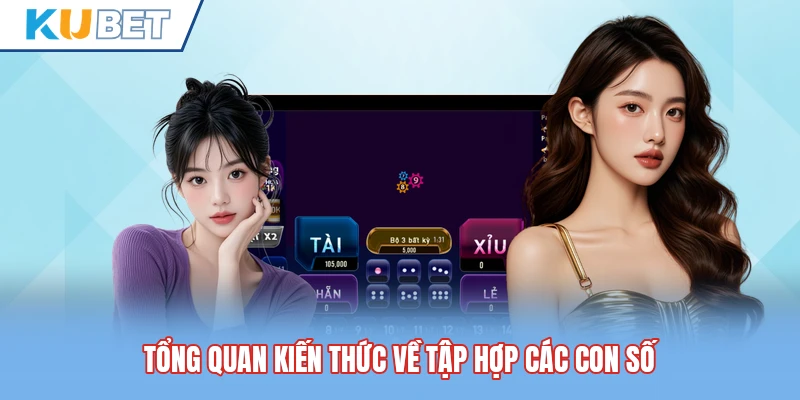 Tổng quan kiến thức về tập hợp các con số Tổng quan kiến thức về tập hợp các con số